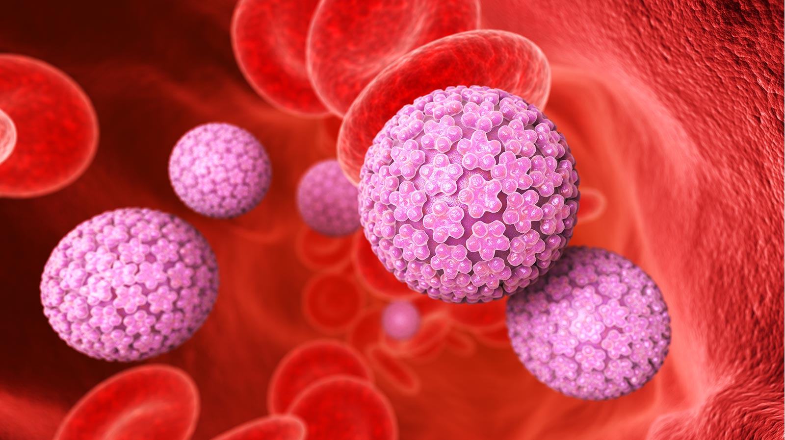 VPH en hombres: claves para entenderlo y prevenirlo - Urólogos en Vallarta