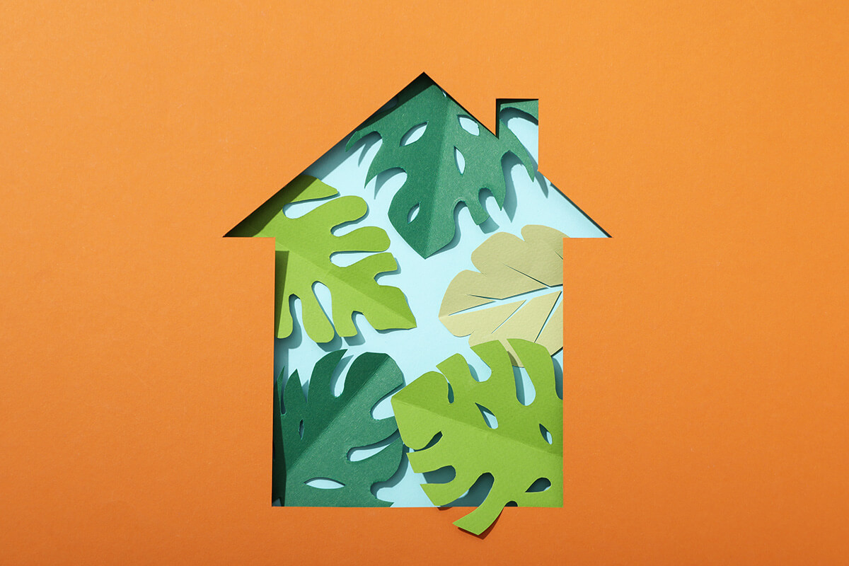 Ambientalismo imperfecto es mejor que la pasividad