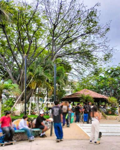 21 de Junio  - Go Skate Day - Puerto Vallarta