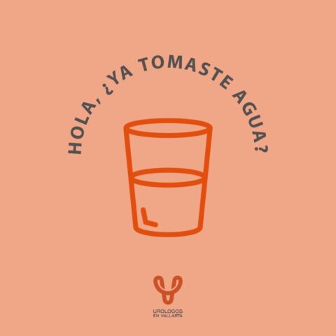 23 de junio: día mundial de la hidratación